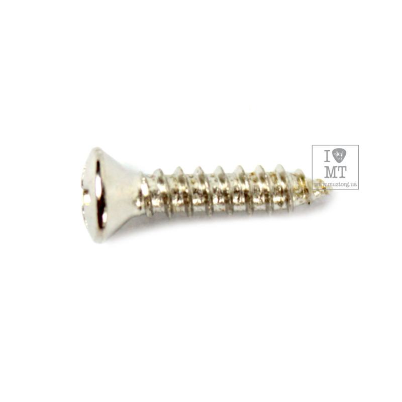 FENDER PICKGUARD/VINTAGE BRIDGE COVER SCREWS Гвинти кріплення