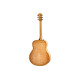 TAYLOR GUITARS 618e Гітара електроакустична