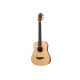 TAYLOR GUITARS BT1-e Гітара електроакустична