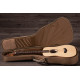 TAYLOR GUITARS BT1-e Гітара електроакустична