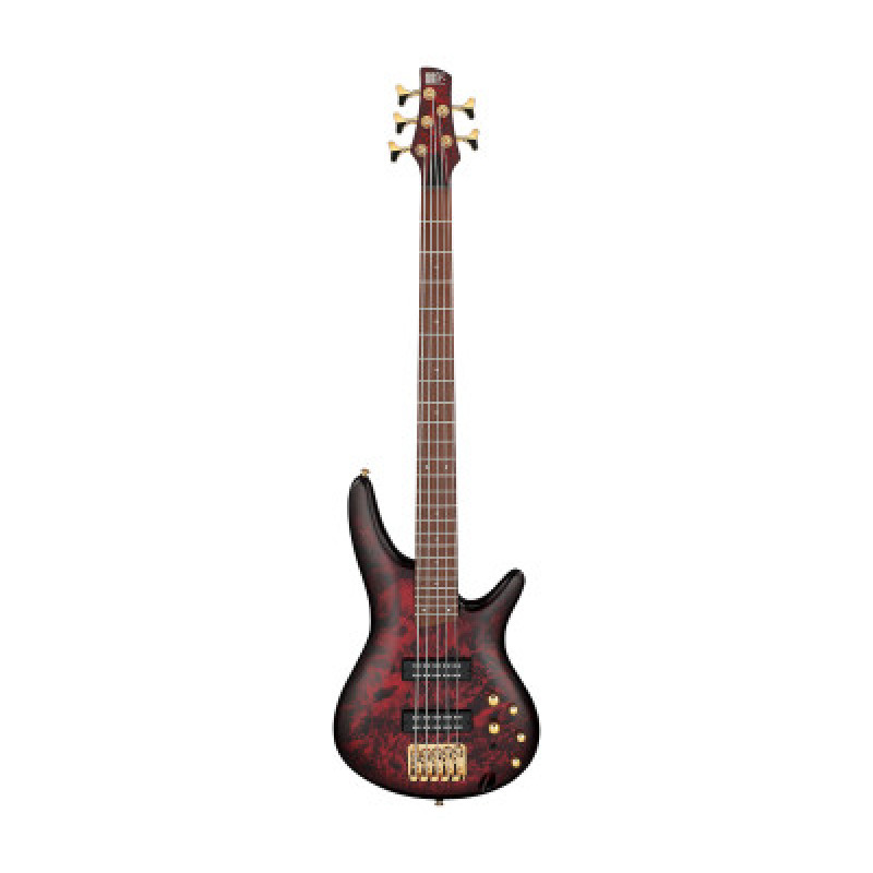 Бас-гітара IBANEZ SR305EDX WZM