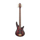 Бас-гітара IBANEZ SR305EDX WZM