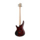 Бас-гітара IBANEZ SR305EDX WZM