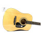 Гітара акустична EPIPHONE DR-100 NT