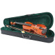 PARKSONS CV101 3/4 Скрипка