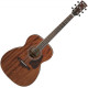 IBANEZ AC340 OPN Акустична гітара