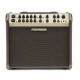 FISHMAN PRO-LBX-EX6 Loudbox Artist 120 Комбопідсилювач для акустичної гітари