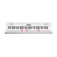 СASIO Key Lighting LK-247 Синтезатор
