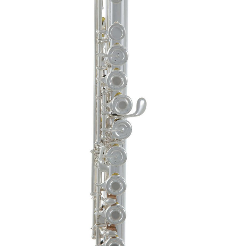 Флейта Roy Benson FL-602RE