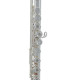 Флейта Roy Benson FL-602RE