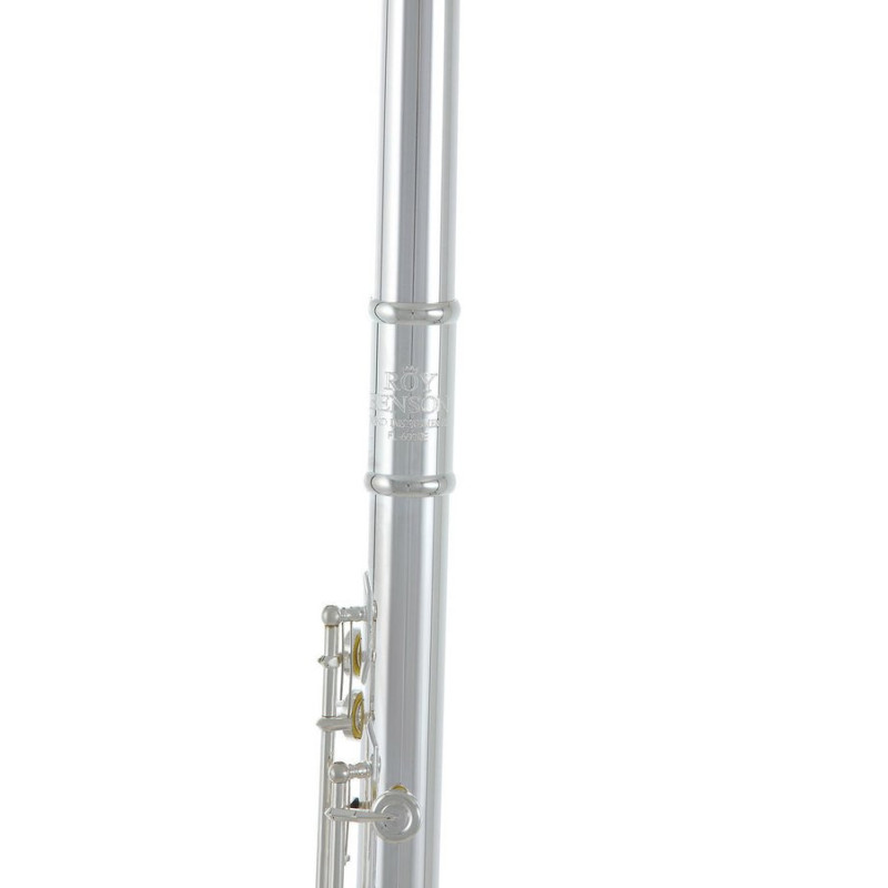 Флейта Roy Benson FL-602RE