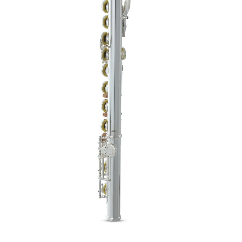 Флейта Roy Benson FL-402E