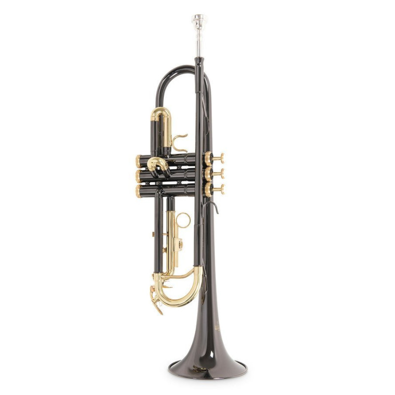 Труба Roy Benson TR-101K Bb-Trumpet