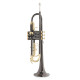 Труба Roy Benson TR-101K Bb-Trumpet