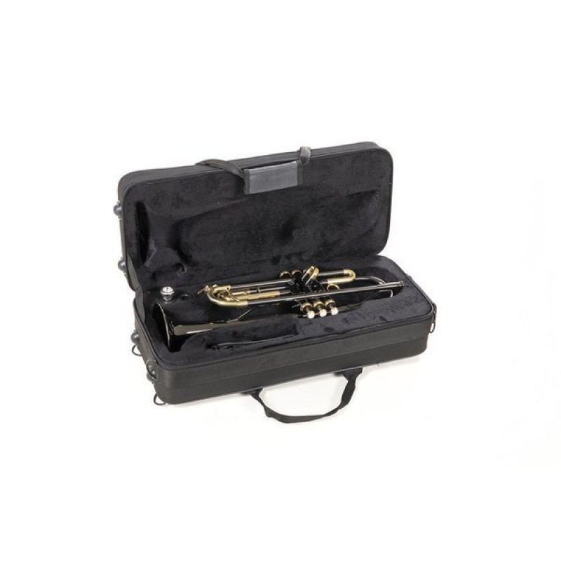 Труба Roy Benson TR-101K Bb-Trumpet