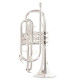 Корнет Roy Benson CR-202S Bb-Cornet