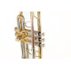 Труба Roy Benson TR-402C C-Trumpet