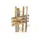 Труба Roy Benson TR-402C C-Trumpet