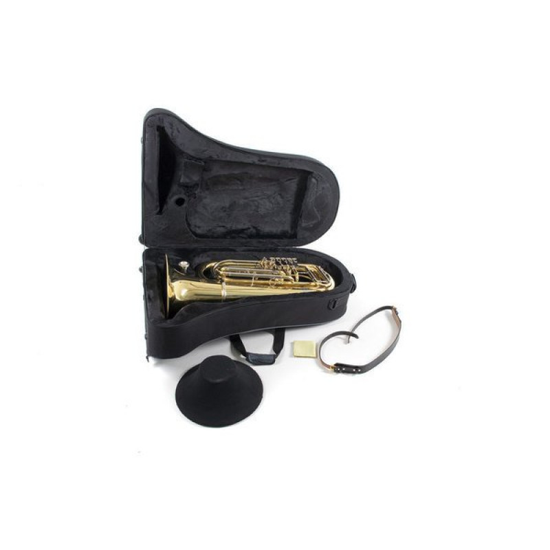 Туба Roy Benson TB-202 BBb-Tuba