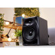 PIONEER DM-50D Студийные мониторы