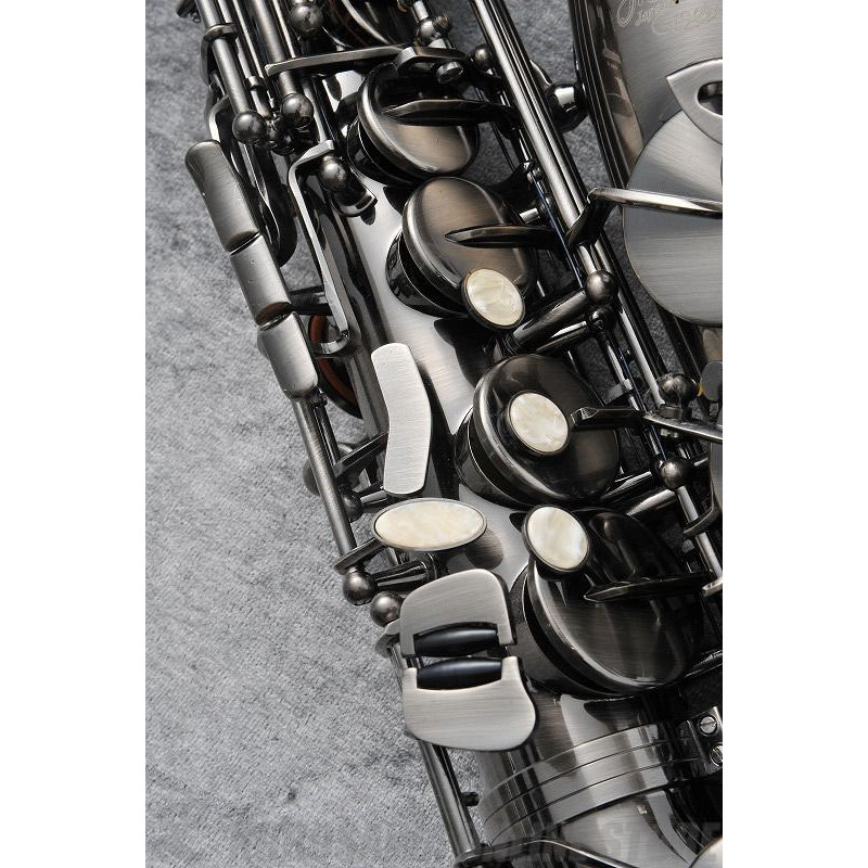 J.MICHAEL AL-980GML (S) Alto Saxophone