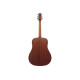 IBANEZ AAD50-LG Гитара акустическая