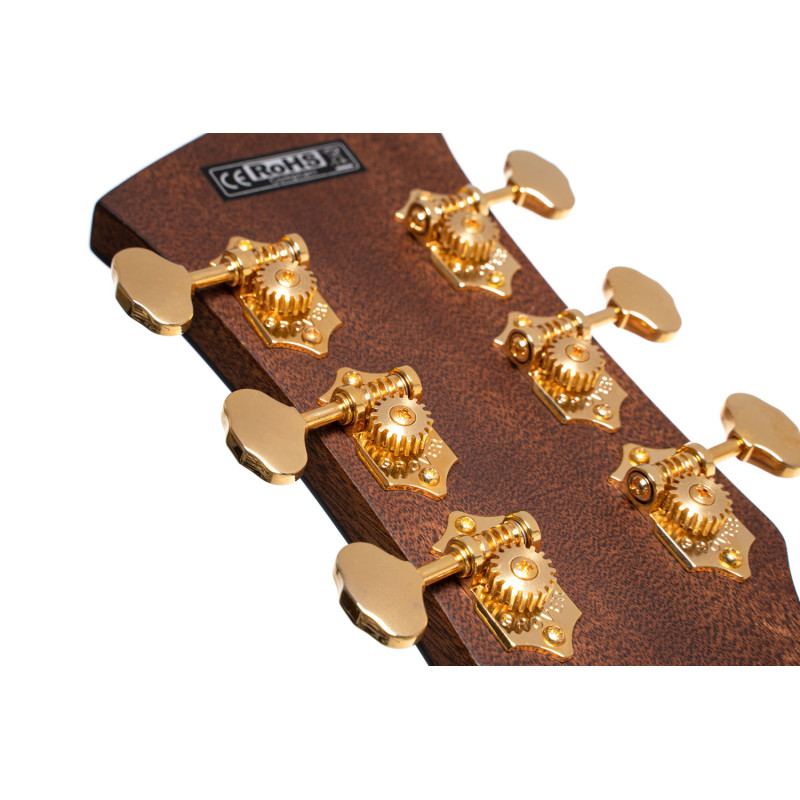 CORT GOLD-A6 Bocote (Natural) Акустична гітара