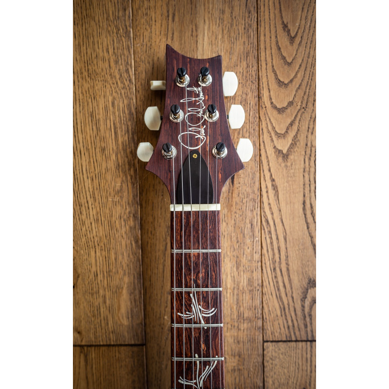 PRS Paul's Guitar 10-Top (Yellow Tiger) #0369896