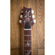 PRS Paul's Guitar 10-Top (Yellow Tiger) #0369896