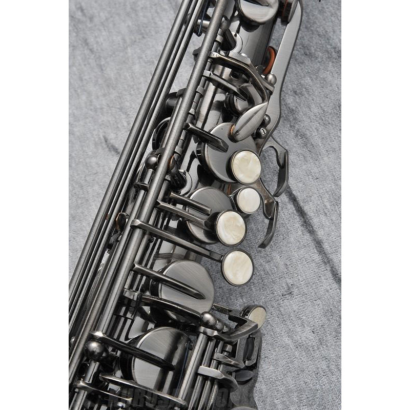 J.MICHAEL AL-980GML (S) Alto Saxophone
