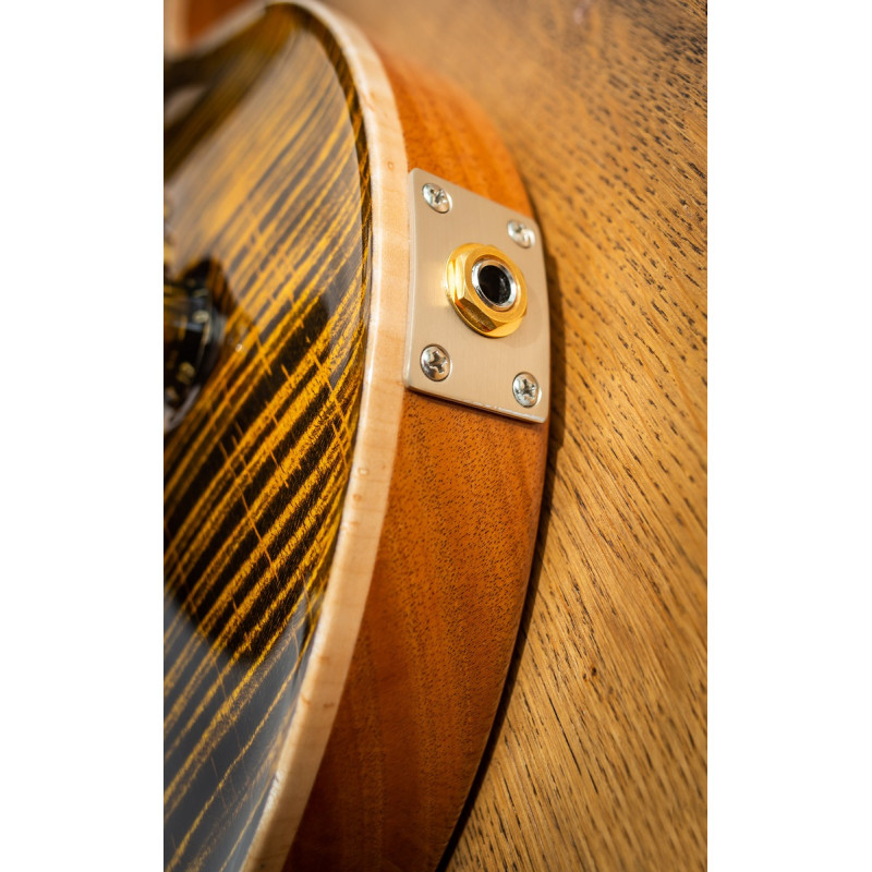 PRS Paul's Guitar 10-Top (Yellow Tiger) #0369896