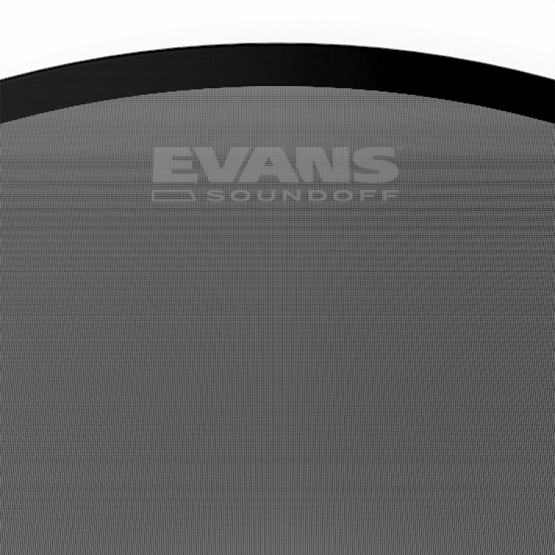 EVANS 22