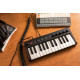 IK MULTIMEDIA iRIG KEYS 2 Mini