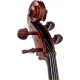 STENTOR 1102/E STUDENT I CELLO OUTFIT 1/2 Виолончель