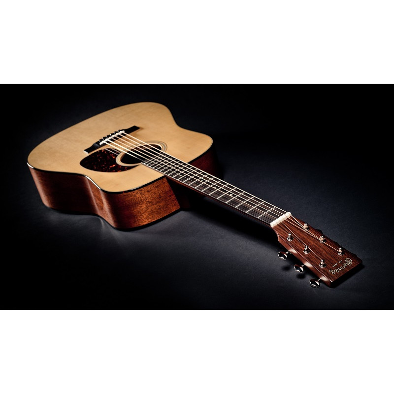 MARTIN 10D18 Акустическая гитара