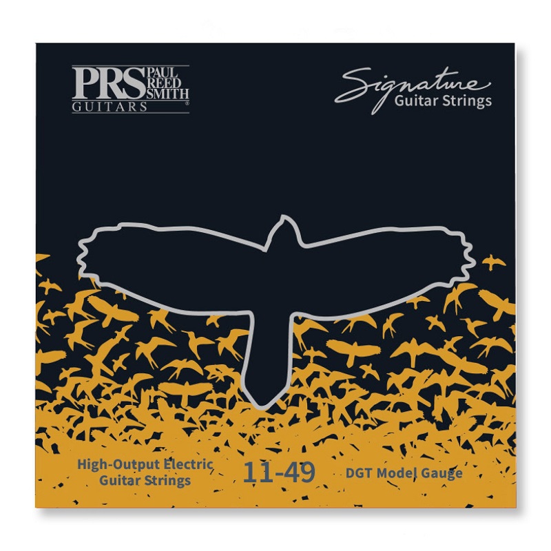 PRS SIGNATURE DAVID GRISSOM Струни для електрогітари