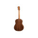 TAYLOR GUITARS 717e BUILDER'S EDITION Гітара електроакустична