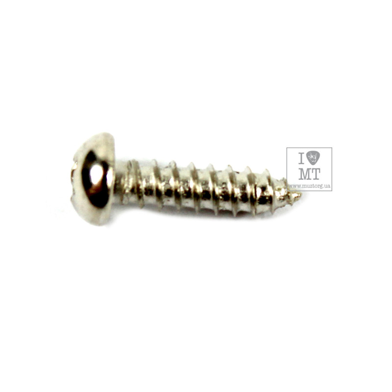 FENDER AMERICAN STANDARD/DELUXE GUITAR STRING TREE MOUNTING SCREWS 3 x 3/8' Набір гвинтів
