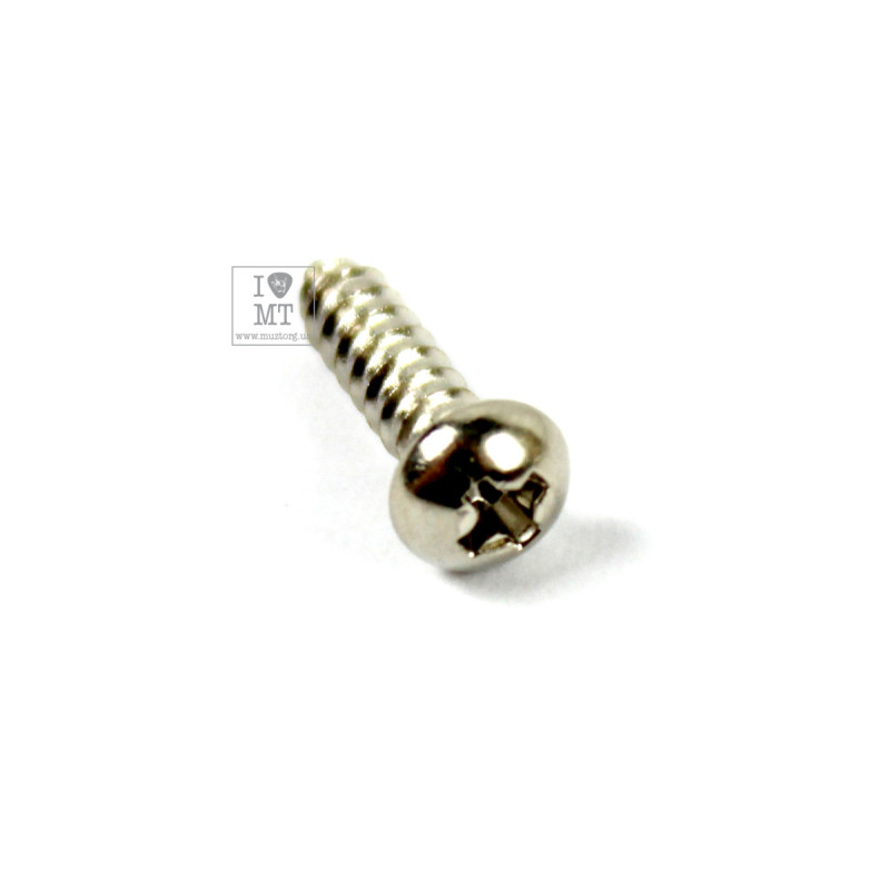 FENDER AMERICAN STANDARD/DELUXE GUITAR STRING TREE MOUNTING SCREWS 3 x 3/8' Набір гвинтів