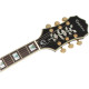 EPIPHONE SHERATON - II PRO EBONY Электрогитара
