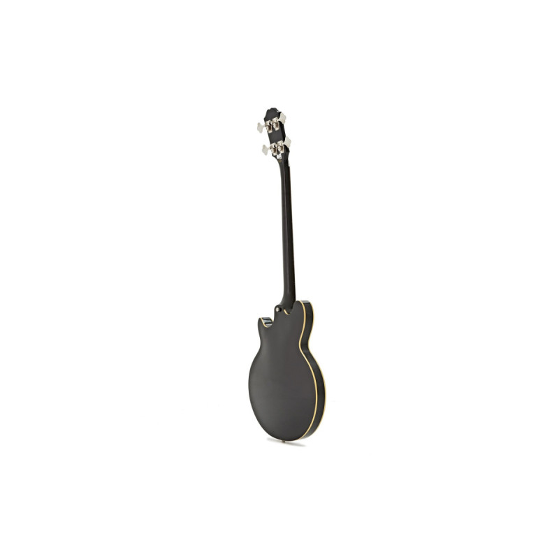 EPIPHONE JACK CASADY BASS EBONY Бас-гітара напівакустична