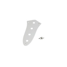 FENDER JAZZ BASS CONTROL PLATES 4-HOLE CHROME Панель для гітари
