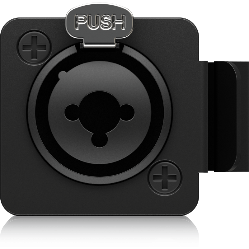 BEHRINGER P2