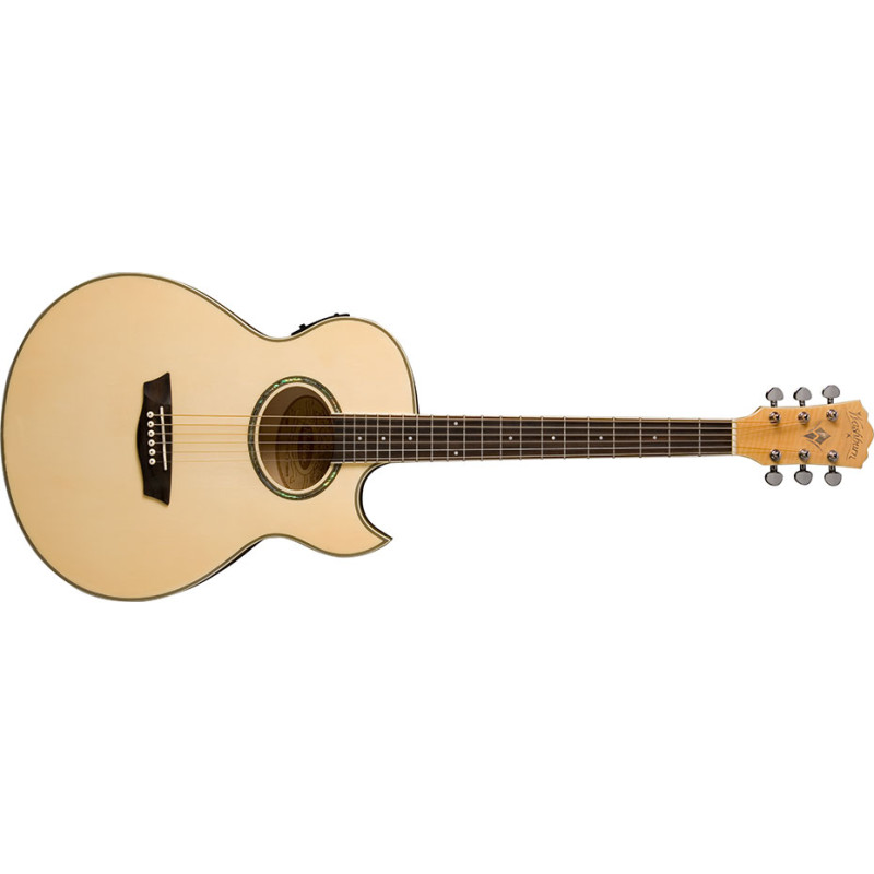 WASHBURN EA20 Акустическая гитара