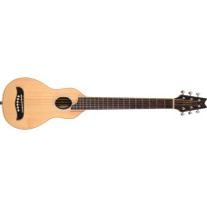 WASHBURN RO10SBK Акустическая гитара