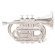Кишенькова труба Roy Benson PT-101S Bb-Pocket trumpet