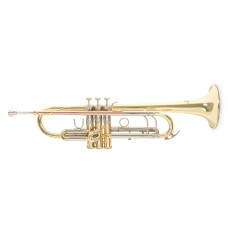 Труба Roy Benson TR-403 Bb-Trumpet