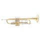 Труба Roy Benson TR-403 Bb-Trumpet