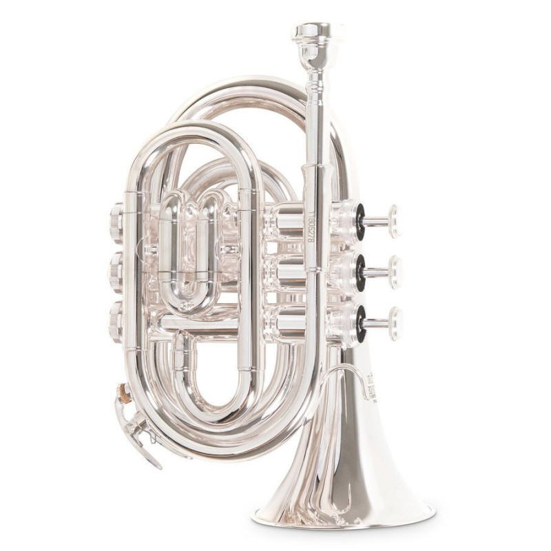 Кишенькова труба Roy Benson PT-101S Bb-Pocket trumpet