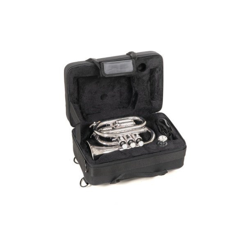 Кишенькова труба Roy Benson PT-101S Bb-Pocket trumpet